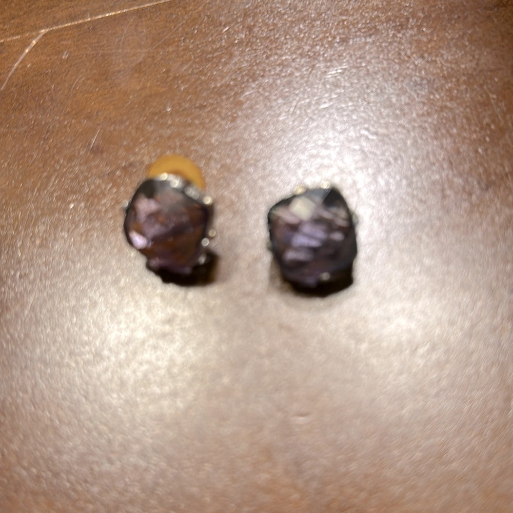 Beautiful women’s purple and silver color earrings